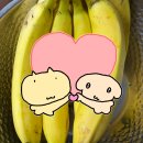 고산지 | 쿠팡 베트남 스텔라나 고산지 바나나 후기