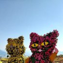 양말사랑 이미지