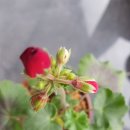 제라공인중개사사무소 이미지