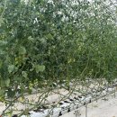 동석농장 이미지