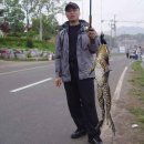 아주(아) 이미지