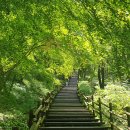 가위박물관 이미지