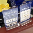 (주)삼성도장 | 삼성라이온즈 x 바오패밀리 더현대 대구 방문후기