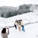 추억만들기 이미지