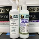 내안에너있DOG 이미지