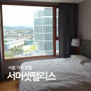 서울 광화문 안국 가족숙소 서머셋팰리스 서울 호텔 수영장 후기