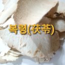 복령(茯苓) 이미지