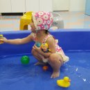 (주)킨더스윔 | 킨더스펠 스윔웨어 컨페티 플라워(유아수영복) 입고 구리 오션베이비 다녀왔어요~