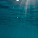 시메르 여수 이미지