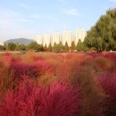 낙동강관리본부 화명생태공원 10 이미지