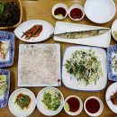 울진참가자미 이미지