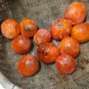 김경식농장 이미지