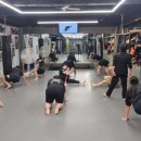 싸이코 핏불스 이미지