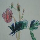 한국화(중급) 이미지