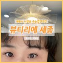 잠이솔솔인애월 | 세종 나성동 속눈썹연장 유지력 갑 뷰티리에