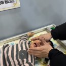 효나소아청소년과의원 | 4차영유아검진 A형간염 2차 접종 시기 비용 접종열