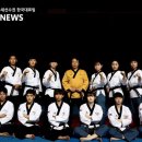 태권한류 이미지