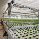 남원농장 이미지