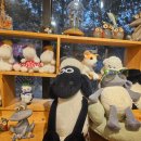 서희목장 | 포천 평강랜드 방문기