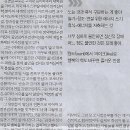 멘토나라 Daum카페