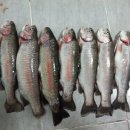 장자골로 이미지