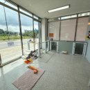 이쁘게 잘라줄개 | 원주 태장동 애견미용&amp;호텔:이쁘게 잘라줄개_강아지 호텔 추천(24시간 상주 운영)