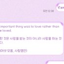 보라나비