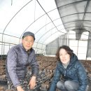 이병기 농장 이미지