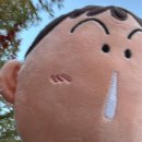 뽑신뽑왕 네이버블로그