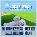 죽림유치원 | 통영 애견호텔 도그토피아, 강아지셀프목욕기계 설치 후기