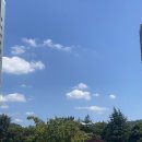 이태리세탁소 이미지
