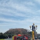 동백꽃식당 이미지