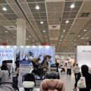 고려종합유통 | 순성 우노에어 올인원 카시트 | 내돈내산 2개월 사용후기