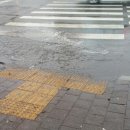 베스킨라빈스 앞 횡단보도 이미지