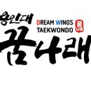 용인대윙스태권도장 네이버블로그