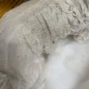 겨울나는나비동물병원 이미지