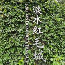 진리와바다 | 대만 여행 | 타이베이 근교 단수이 말할수없는비밀 영화 촬영 관광지_ 홍마오청, 진리대학교 | 방문후기 ⎷