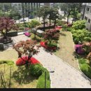 래미안Ⅱ공인중개사사무소 이미지