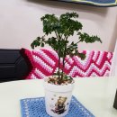 제일뜨개방