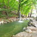 아카시아펜션 | 경북 청도군 운문면 산나들이펜션(청도펜션, 운문사펜션)