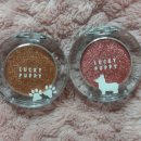 사랑하시개 이미지