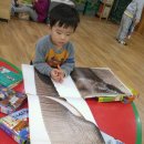 부송작은도서관 이미지