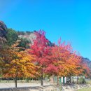 삼척농수산