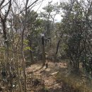 관매도(관호) 이미지