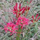 효창공원 이미지