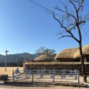 낙안읍성 | 애견동반 가능한 가족 나들이로 좋은 ⭐️ 순천 낙안읍성 ⭐️방문 후기