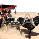 스마일 짐 이미지