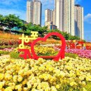 이뻐지는산책 | 🌹형산강 장미원, 포항의 진짜 장미 명소를 찾다 ; 5월, 꽃의 여왕 장미와 마음이 이뻐지는 산책