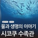 아쿠아엘씨생명과학 | [카가와 여행] 다카마쓰에서 호빵맨 열차타고 아이랑 갈만한 시코쿠 수족관(四国水族館) 완벽한 하루 플랜!