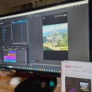 [신규] (단기)프리미어프로(영상편집) | [맛있는 디자인 스터디 18기] 프리미어 프로 학습 2주차 후기